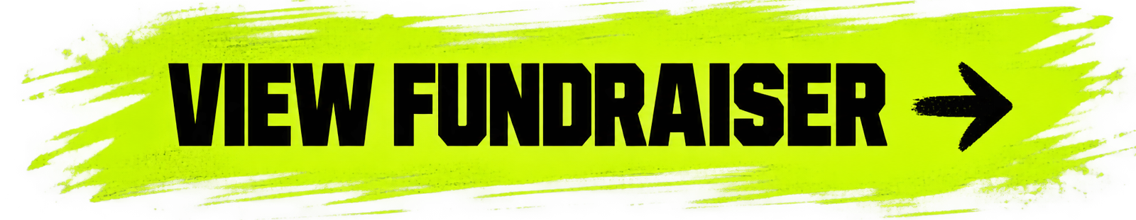 View Fundraiser